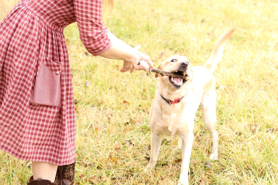 Holiday Blog Tour: Day 3