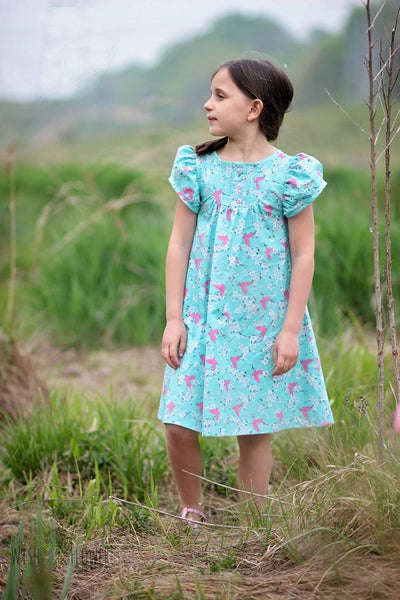 Stargazer Pintuck Top and Dress for girls size 9m-16